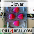 Cipvar 13